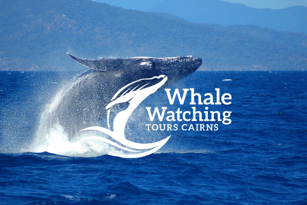 Cairns Deals | Whale Watching Tours Cairns