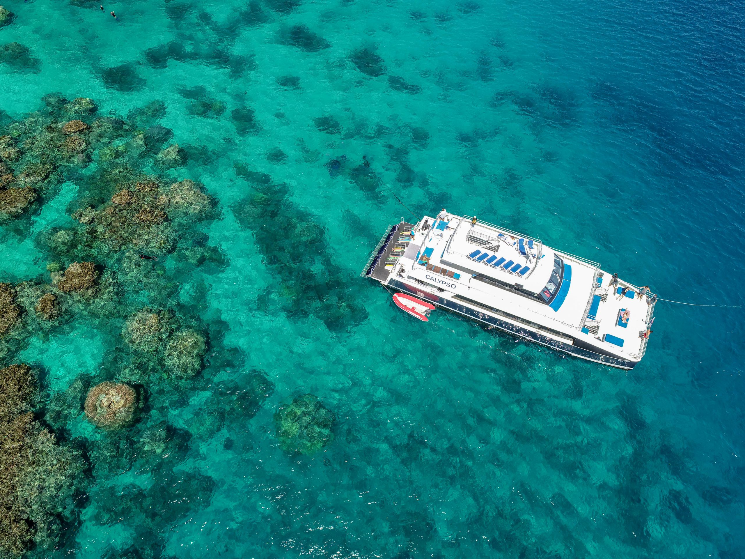 calypso reef trips port douglas