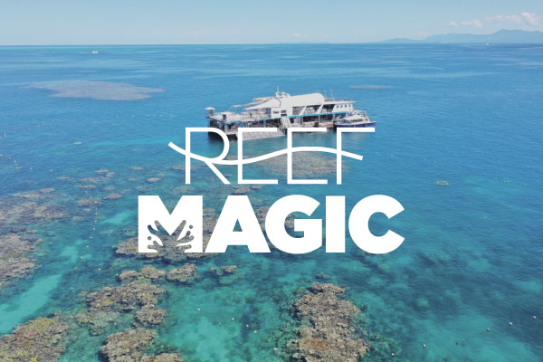 Cairns Deals | Reef Magic Cruises