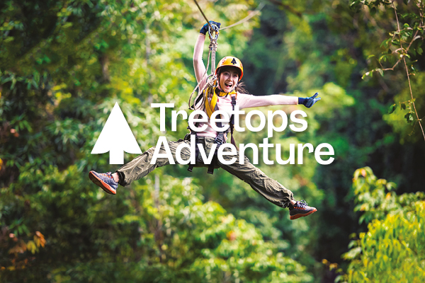 Treetops Adventures