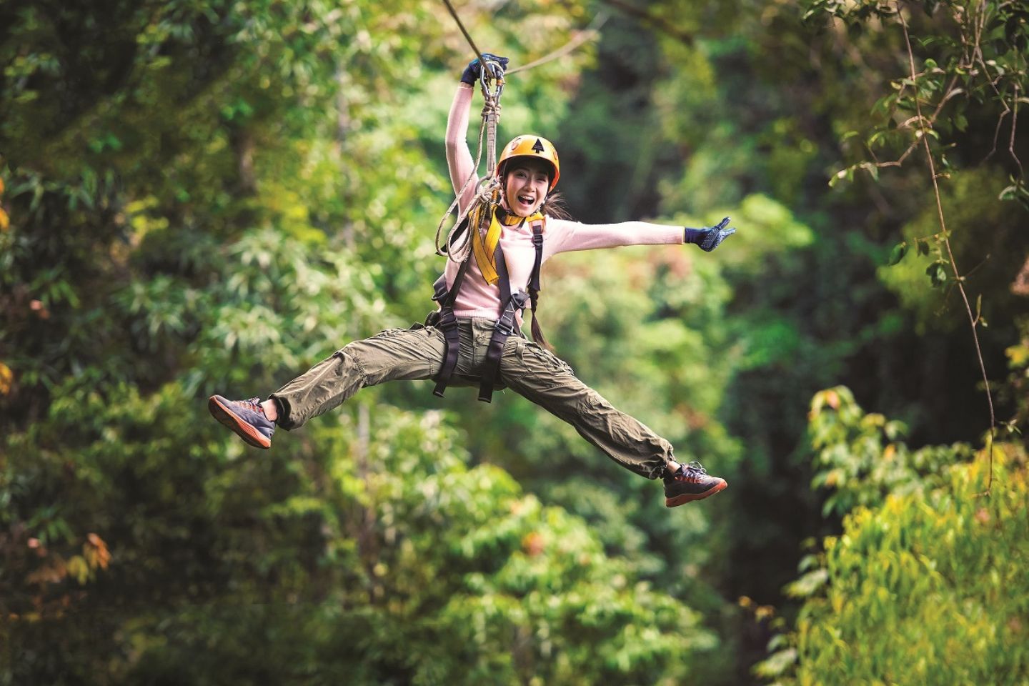 treetop zipline tour