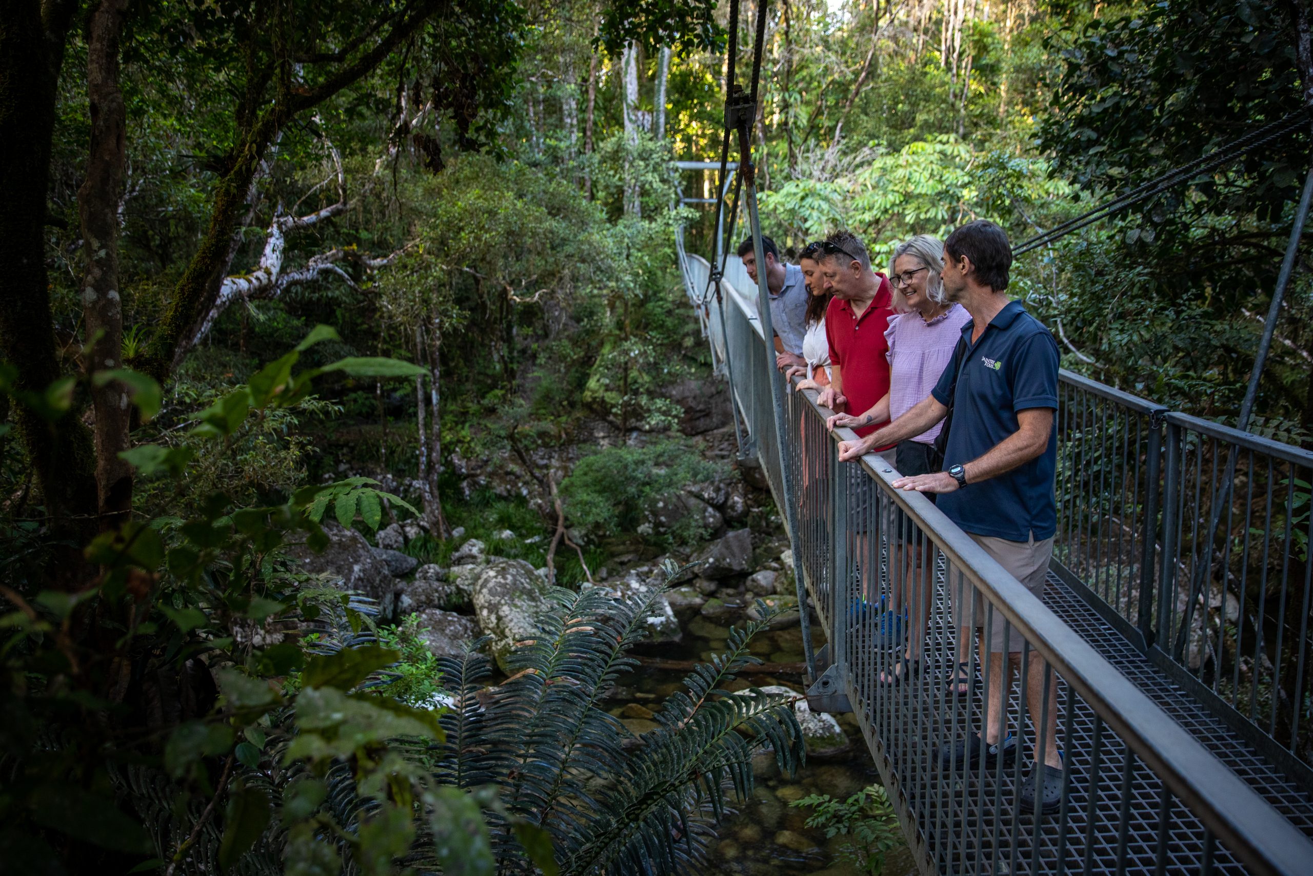 self guided tour daintree rainforest