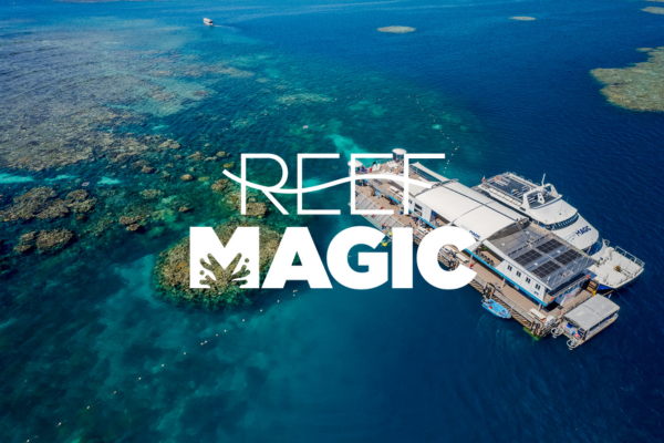Reef Magic Cairns Tour