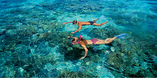 Big Cat Green Island Snorkellers. Visit Green Island. Great Barrier Reef Tours. Family price.