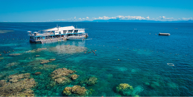 Cairns Tours. Great Barrier Reef. Reef Magic Pontoon