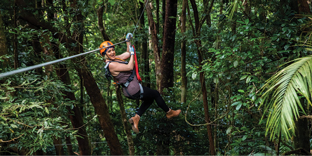 Port Douglas Tour. Visit Daintree Rainforest. Zipline at Cape Tribulation with Treetops Adventure