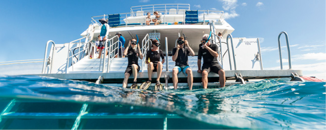 Calypso Snorkel and Dive. Port Douglas tour. Great Barrier Reef.
